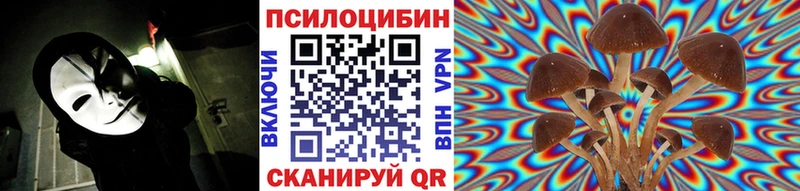 Псилоцибиновые грибы MAGIC MUSHROOMS Тавда