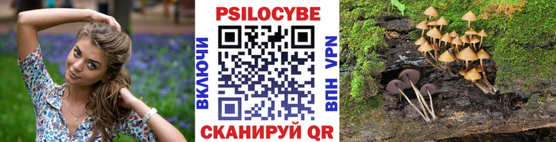 где купить наркотик  Тавда  Псилоцибиновые грибы MAGIC MUSHROOMS 